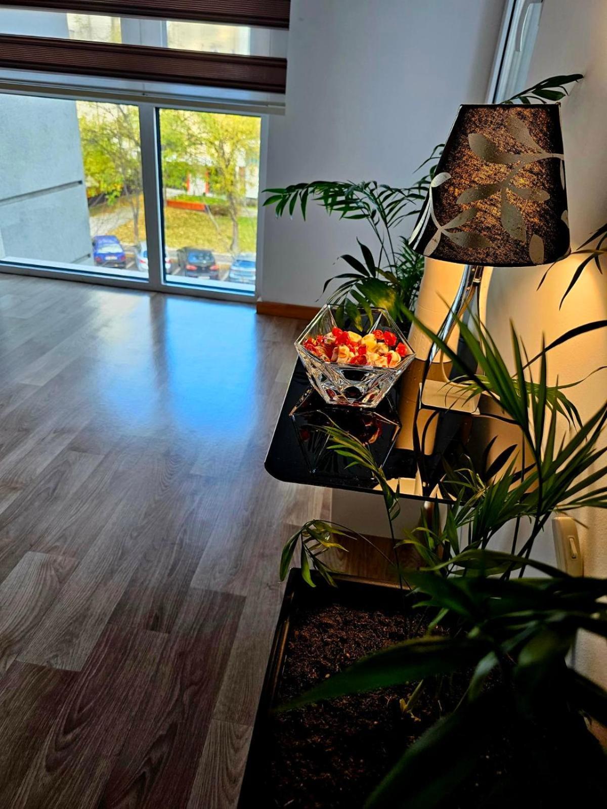 Eva'S Premium Apartments Σκόπια Εξωτερικό φωτογραφία